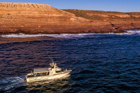 Kalbarri Sunset Coastal Cliff Cruise - Accommodation QLD 4
