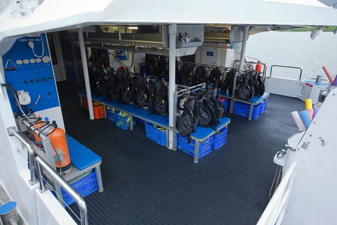 Silverswift Outer Great Barrier Reef Dive And Snorkel Cruise From Cairns - Accommodation QLD 0
