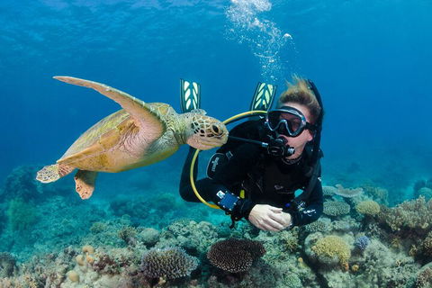 Silverswift Outer Great Barrier Reef Dive And Snorkel Cruise From Cairns - Accommodation QLD 2