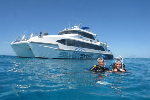 Silverswift Outer Great Barrier Reef Dive And Snorkel Cruise From Cairns - Accommodation QLD 4