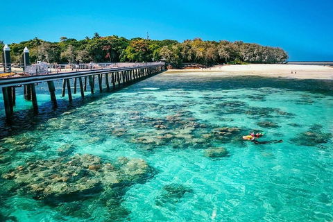 Green Island Discovery Including Glass Bottom Boat Tour Departing Cairns - Accommodation QLD 4