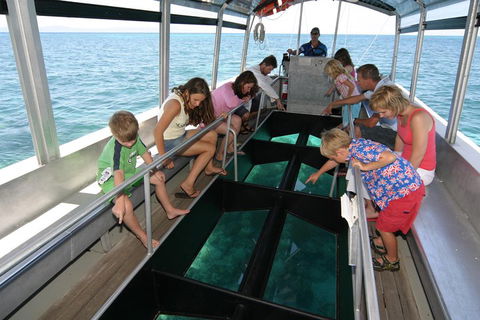 Green Island Discovery Including Glass Bottom Boat Tour Departing Cairns - Accommodation QLD 5