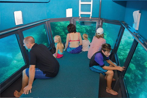Great Barrier Reef Adventure From Cairns - Accommodation QLD 1