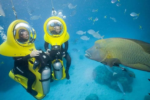 Great Barrier Reef Adventure From Cairns - Accommodation QLD 2