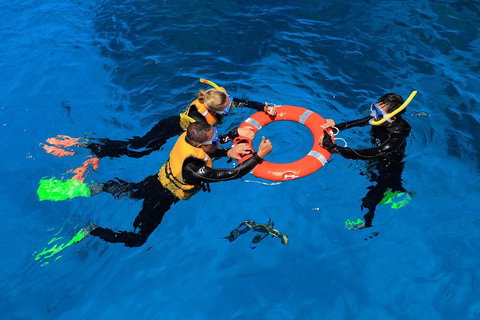 Great Barrier Reef Adventure From Cairns - Accommodation QLD 3