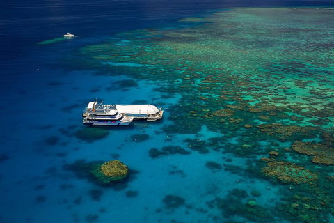 Great Barrier Reef Adventure From Cairns - Accommodation QLD 4