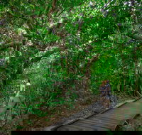 Green Island Eco Adventure from Cairns - Accommodation QLD