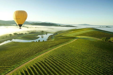 Half-Day Or Full-Day Tour With Private Guide From Melbourne - Accommodation QLD 4