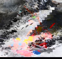 Barron Gorge National Park Half-Day White Water Rafting from Cairns or Port Douglas - Accommodation QLD