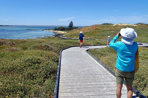 Penguin And Seal Islands Sea Kayaking Experience - Accommodation QLD 1