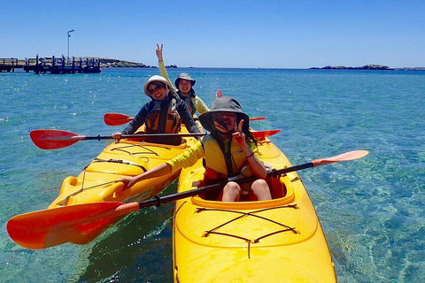 Penguin And Seal Islands Sea Kayaking Experience - Accommodation QLD 4
