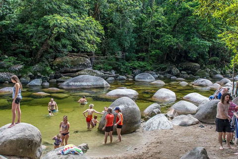 Cape Tribulation, Mossman Gorge, And Daintree Rainforest Day Trip From Cairns Or Port Douglas - Accommodation QLD 1