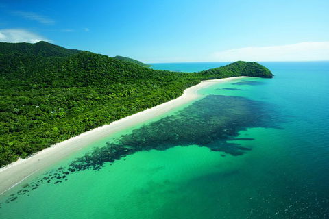 Cape Tribulation, Mossman Gorge, And Daintree Rainforest Day Trip From Cairns Or Port Douglas - Accommodation QLD 2
