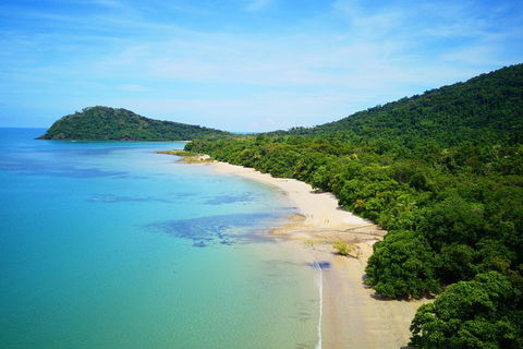 Cape Tribulation, Mossman Gorge, And Daintree Rainforest Day Trip From Cairns Or Port Douglas - Accommodation QLD 5