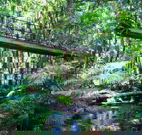 Double Pack-Ancient Rainforest and Waterfalls - Accommodation QLD