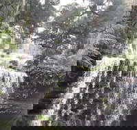 6-Day Hearty Tasmania Tour Tasmania in a Circle - Accommodation QLD