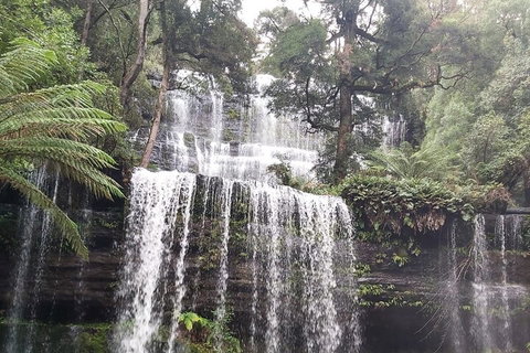 6-Day Hearty Tasmania Tour (Tasmania In A Circle) - Accommodation QLD 0