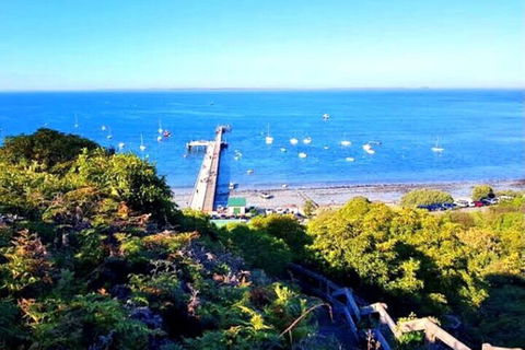 Mornington Peninsula Sightseeing Tour For 2-6 Guests. - Accommodation QLD 1