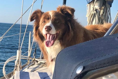 Mornington Peninsula Sightseeing Tour For 2-6 Guests. - Accommodation QLD 2