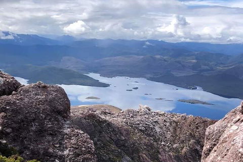 Tamar Valley Food And Wine Day Trip From Devonport, Ulverstone Or Burnie - Accommodation QLD 3