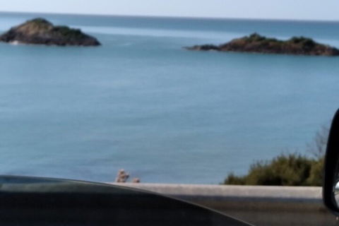 Tamar Valley Food And Wine Day Trip From Devonport, Ulverstone Or Burnie - Accommodation QLD 4