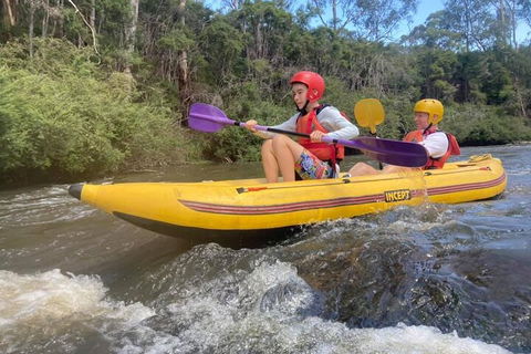 Yarra River Half-Day Rafting Experience - Accommodation QLD 1