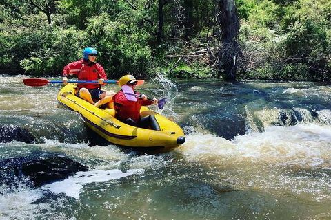 Yarra River Half-Day Rafting Experience - Accommodation QLD 4