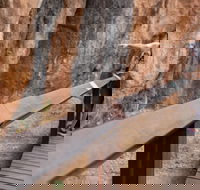 Chillagoe Caves and Outback Day Trip from Cairns - Accommodation QLD