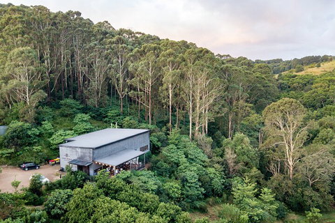 Full-Day Tour To Byron Bay Best Food And Drink Spots - Accommodation QLD 3