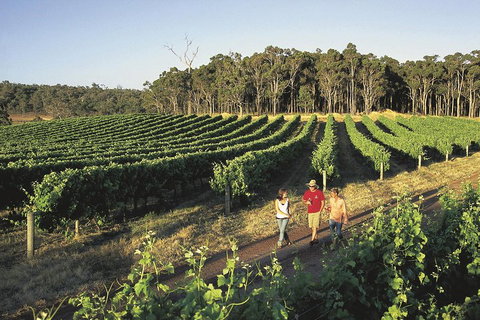 Margaret River, Caves, Wine And Cape Leeuwin Lighthouse Tour From Perth - Accommodation QLD 1