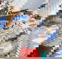 Pinnacles Desert Koalas and Sandboarding 4WD Day Tour from Perth - Accommodation QLD