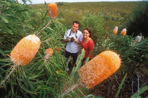 Best Of Perth Wildflower Season Day Trip - Accommodation QLD 0