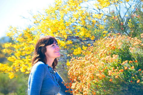 Best Of Perth Wildflower Season Day Trip - Accommodation QLD 2