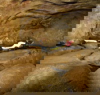 2-Day Wave Rock York Wildflowers  Aboriginal Experience - Accommodation QLD