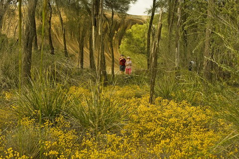 2-Day Wave Rock, York, Wildflowers & Aboriginal Experience - Accommodation QLD 2