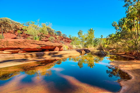 7-Day Guided Tour Of Alice Springs With Accommodation Included - Accommodation QLD 1