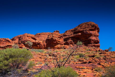 7-Day Guided Tour Of Alice Springs With Accommodation Included - Accommodation QLD 4