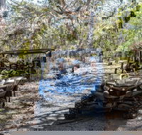 Small-Group Buggy Tour at Little Sahara with Guide - Accommodation QLD