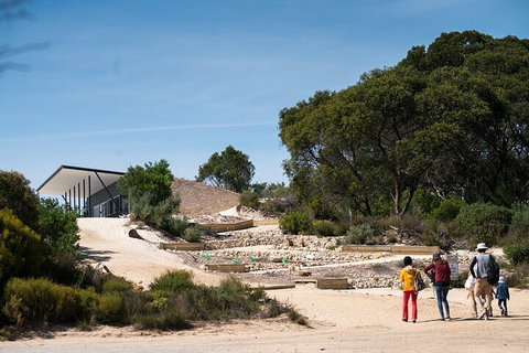 2-Hour Koala Walking Tour In Kangaroo Island - Accommodation QLD 3