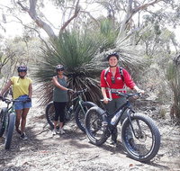 2 Hour Bike Tour in Kangaroo Island - Accommodation QLD