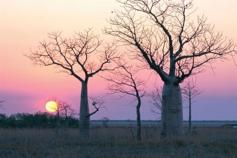 8-Day Outback Experience From Queensland - Accommodation QLD 5