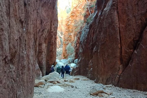 West MacDonnell Private Tour With Transfer - Accommodation QLD 0