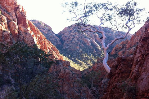 West MacDonnell Private Tour With Transfer - Accommodation QLD 3
