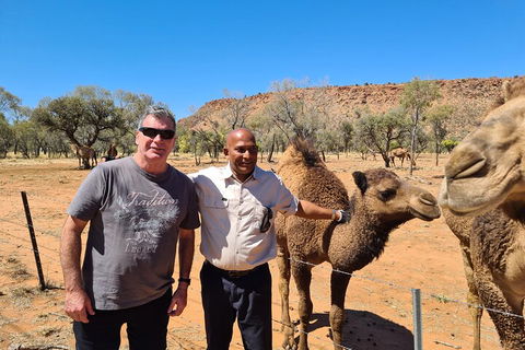 West MacDonnell Ranges Half-Day Small-Group Tour With Camel Ride - Accommodation QLD 1