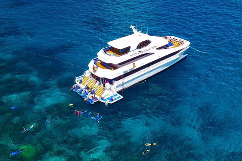 Great Barrier Reef Snorkeling And Diving Cruise From Cairns - Accommodation QLD 5