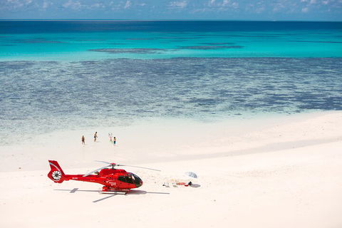 Private Helicopter Tour: Reef Island Snorkeling And Gourmet Picnic Lunch - Accommodation QLD 2