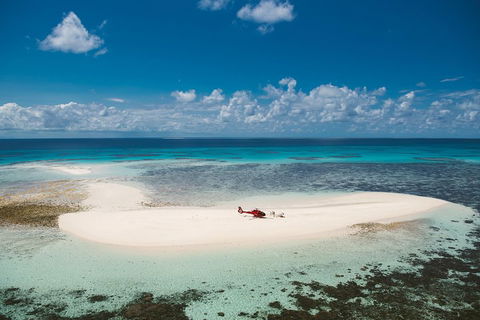Private Helicopter Tour: Reef Island Snorkeling And Gourmet Picnic Lunch - Accommodation QLD 4