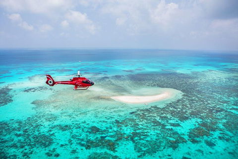 Private Helicopter Tour: Reef Island Snorkeling And Gourmet Picnic Lunch - Accommodation QLD 5