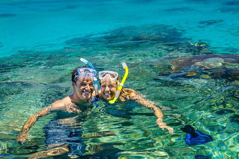 Fly To Green Island - Cruise Return - Accommodation QLD 2