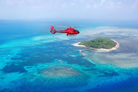 Fly To Green Island - Cruise Return - Accommodation QLD 3